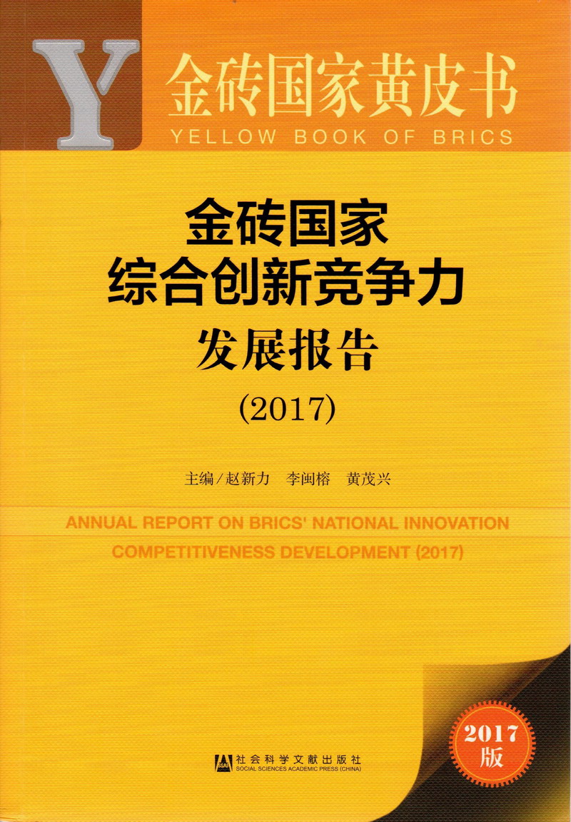 啊啊爽，大鸡鸡草金砖国家综合创新竞争力发展报告（2017）